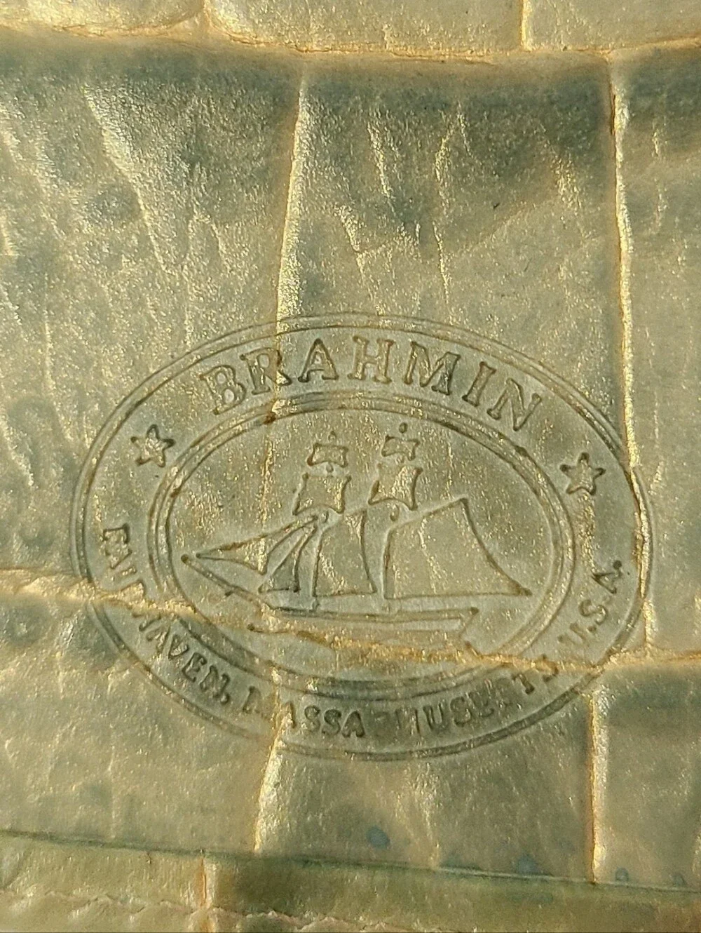 Brahmin Croc-Embossed Compact Wallet in Sage Green And Ivory